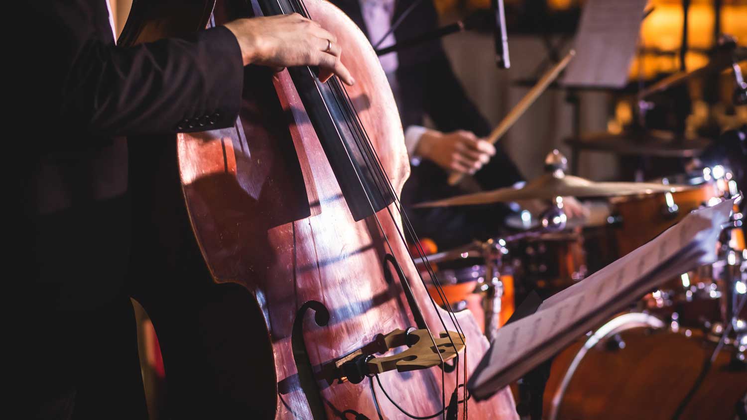 Violinista